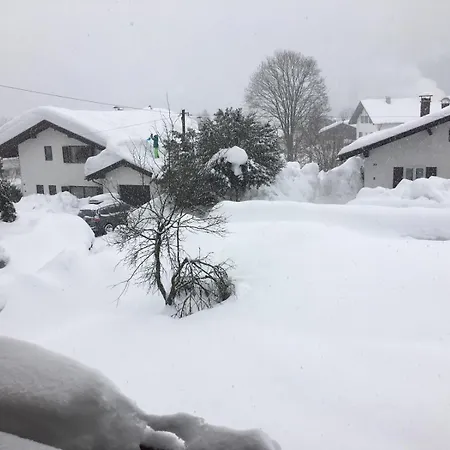 Wildbichl In