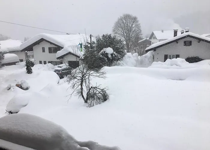 Wildbichl In
