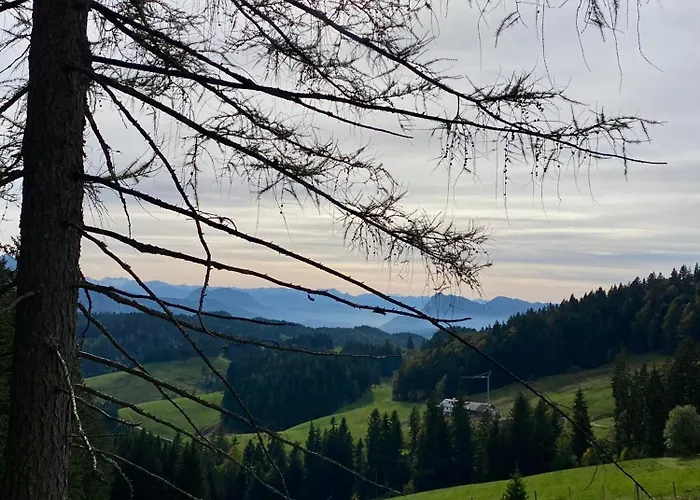Apartament Wildbichl In